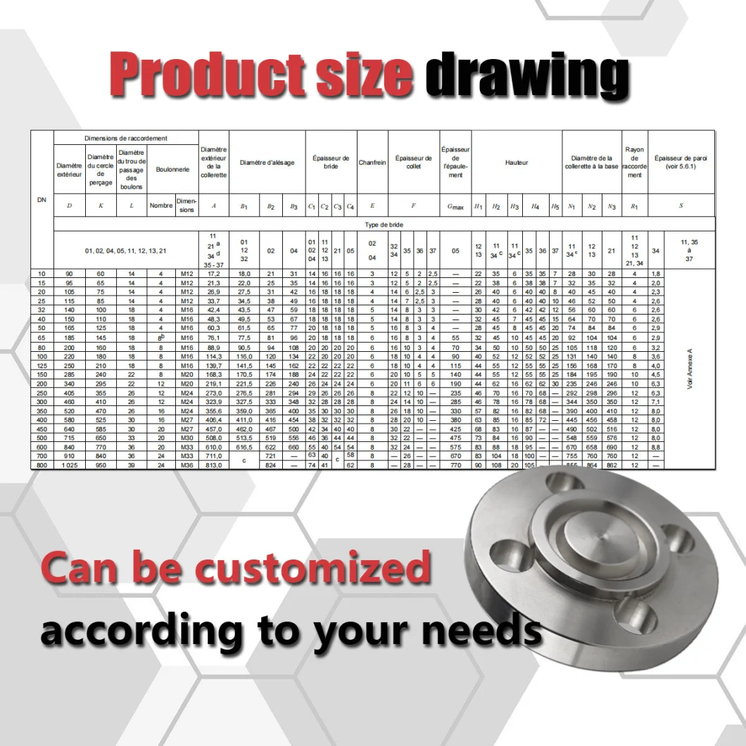 316L Sanitary JIS 40K ANSI B24 1-5/8" RF Seal-Lok Flange for Water Treatment